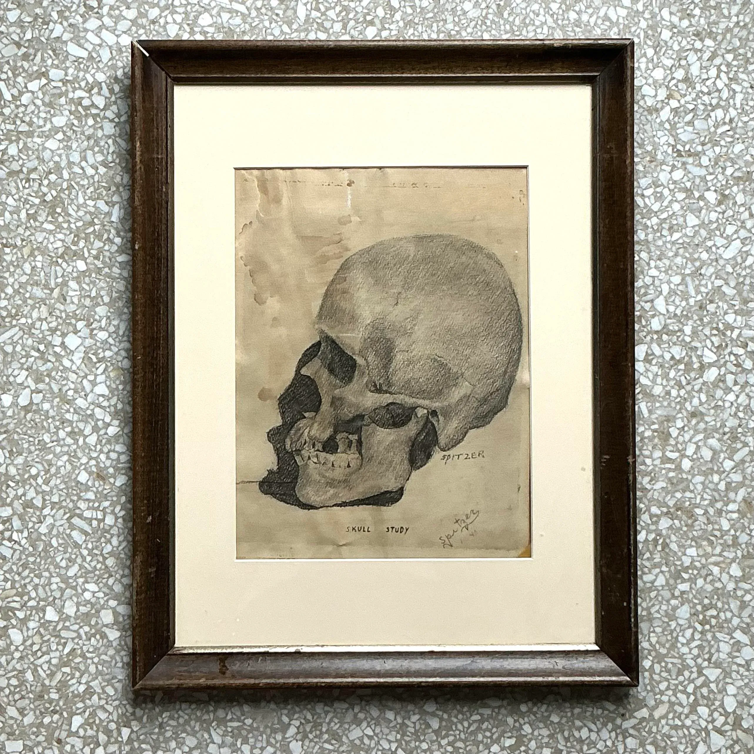 Vintage Boho Original Pencil Sketch of Skull | Chairish