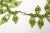 Modern Vintage Italian Coppola E Toppo Chartreuse Kelly Green Beaded Wrap Necklace, 1993 For Sale - Image 3 of 9