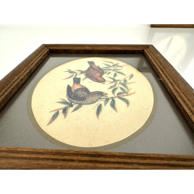 Vintage Mid Century Italian Small Wood Framed Bird Prints, a Pair For Sale - Image 4 of 11