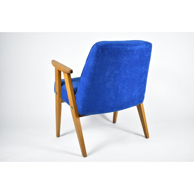 Blue Oak 366 Armchair by J. Chierowski, 1960s For Sale - Image 8 of 12