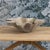 Mid 20th Century Midcentury Swiss Willy Guhl Planter For Sale - Image 5 of 12