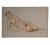 1950s 1950s Naturalistic Study of a Reclining Nude Woman Graphite and Color Pencil on Paper For Sale - Image 5 of 5