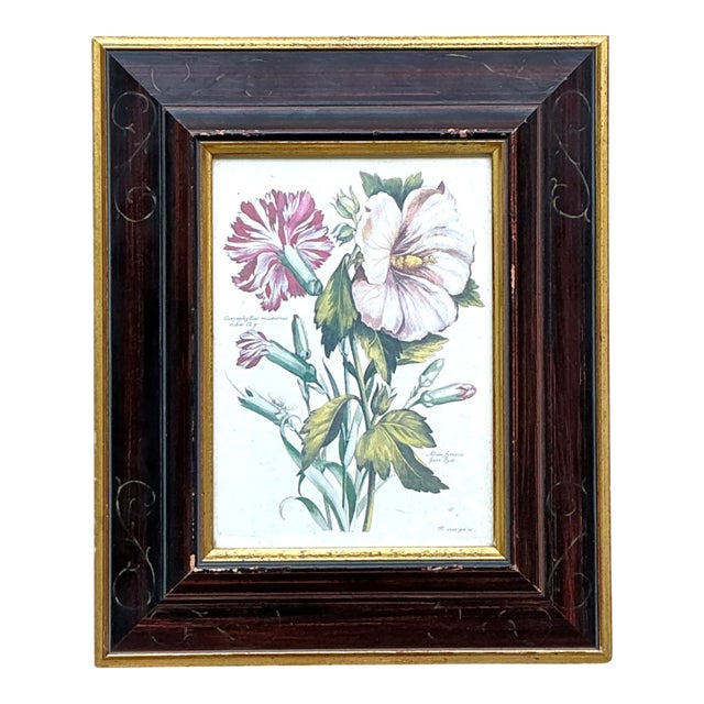 Vintage Chelsea House Botanical Floral Print in Wood Frame For Sale