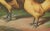 The elegant chamois polish chicken a rare 19th century poultry lithograph this exquisite 19th century chromolithograph...