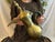 Large Antique Arabian Dallah Coffee Urn (Minor dents and loose leather in parts, See Note) Beautifully Hand Crafted Middle...