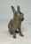 1920s Antique 1920's Cast Iron Bunny Rabbit Animal Still Coin Bank – A.c. Williams For Sale - Image 5 of 9