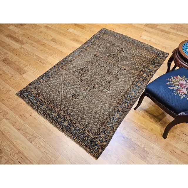 Antique Senneh Area Rug, Hand-Knotted Wool, Paisley Medallion Pattern, Chocolate Brown & Light Blue, 4x7 For Sale - Image 12 of 13