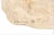 Stone Frank Covino Leonardo Da Vinci Bust 1976 Large Cast Stone Sculpture For Sale - Image 7 of 7