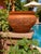 Large Dragon Terracotta Pot Garden Planter For Sale - Image 12 of 12