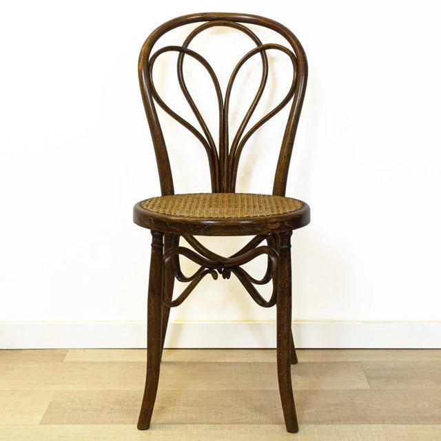 Antique Spanish Bentwood Chair in Oak by Ventura Feliu, 1890s, Set of 4 For Sale - Image 9 of 9