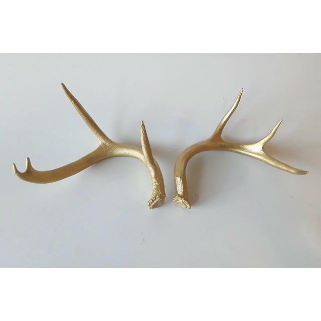 Gold Painted Deer Antlers A Pair Chairish
