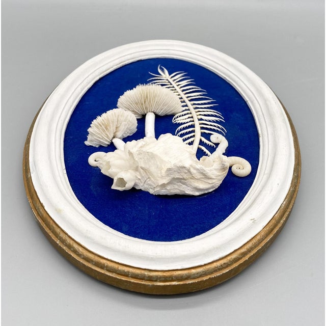 Vintage Framed Shell Art White Mushroom Motif With Blue Background Signed by Artist Chairish