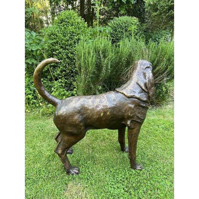 2000 - 2009 Life-Size Bronze Bloodhound Garden Statue from Christian Maas For Sale - Image 5 of 18