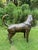 2000 - 2009 Life-Size Bronze Bloodhound Garden Statue from Christian Maas For Sale - Image 5 of 18