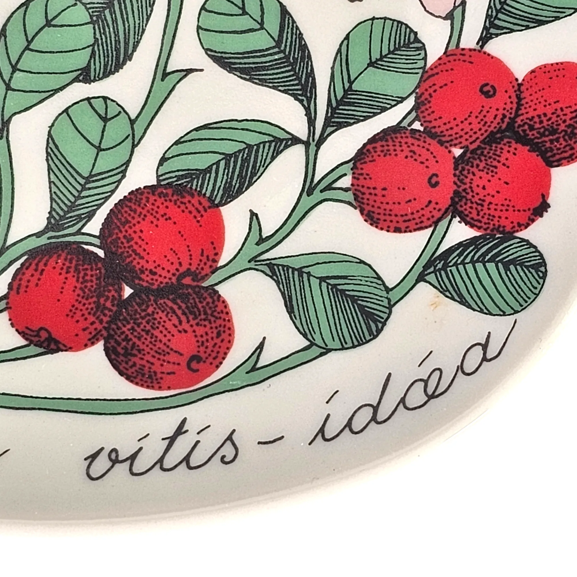 mid-century-arabia-finland-