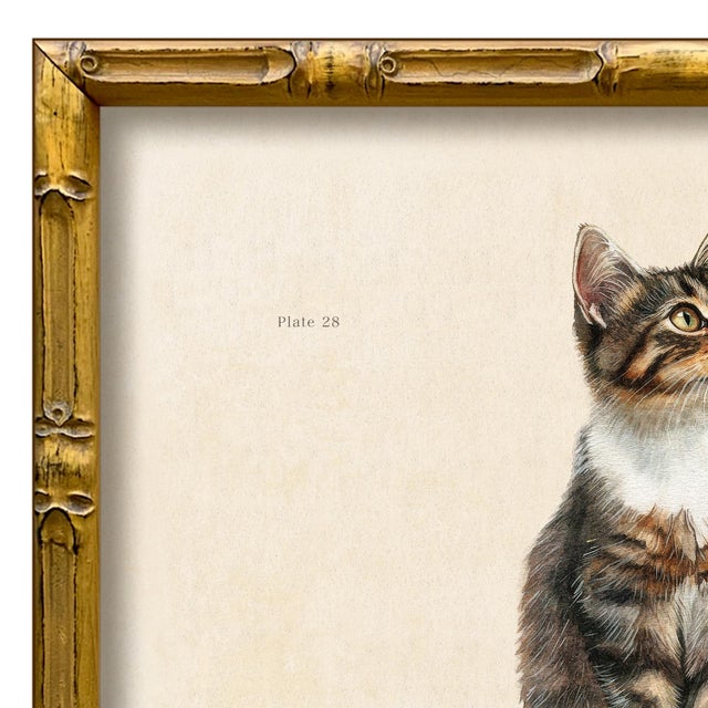 Various Artists Reproduction Art Print of Vintage “Le Chat" Illustration (6), Framed For Sale - Image 4 of 4