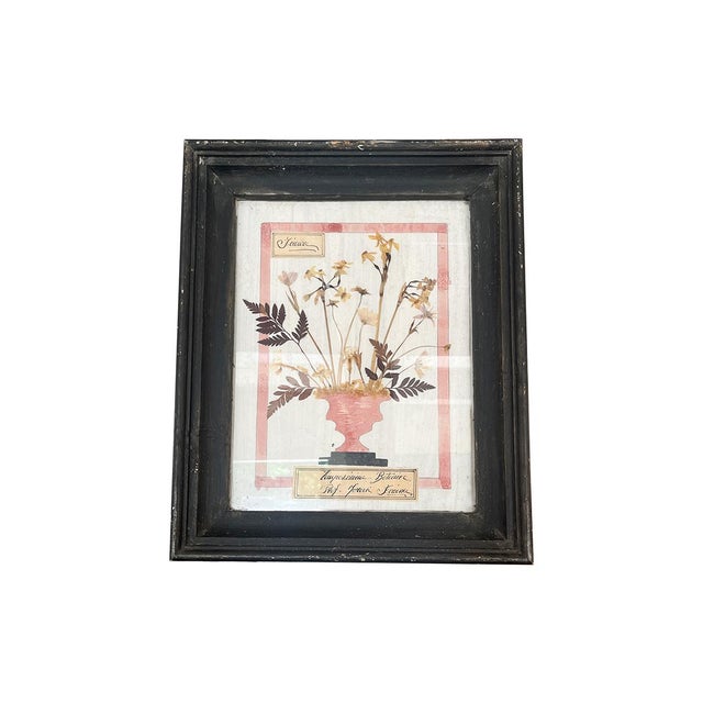 Late 19th Century Late 19th Century Set of 4 Fleurs Compostition Botanique Artwork For Sale - Image 5 of 6