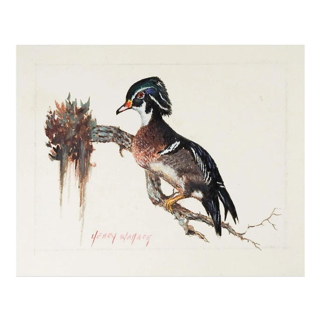 Vintage Wood Duck Waterfowl Painting For Sale