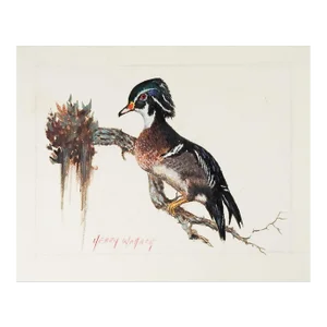 Vintage Wood Duck Waterfowl Painting