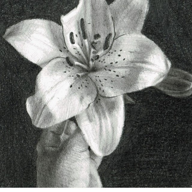 Aleksandra Kalisz, Lily, 2020, Pencil on Paper For Sale - Image 3 of 5
