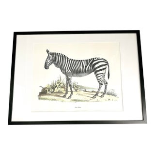 Vintage Karl Joseph Brodtmann Das Zebra Art Print | Framed Zebra Wall Art | German Natural History Lithograph Style | Safari Decor For Sale