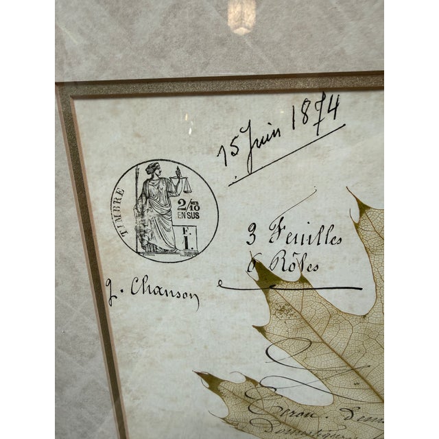 Botanical Collection Plates, Set of Two For Sale - Image 10 of 12