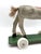 Vintage Wooden Horse on Rolling Board, 1930s For Sale - Image 11 of 15