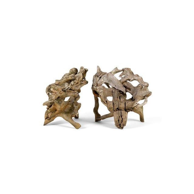 1970s Teak Root Wood Armchairs, Set of 2 For Sale - Image 5 of 17