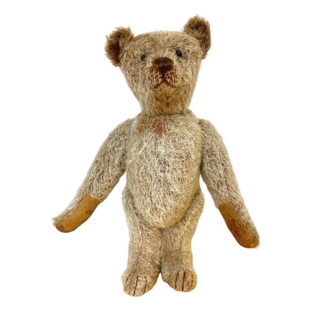 Antique Steiff Long Hair Gold Mohair Teddy Bear ' Alastair' , C. 1900s For Sale