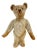 Antique Steiff Long Hair Gold Mohair Teddy Bear ' Alastair' , C. 1900s For Sale