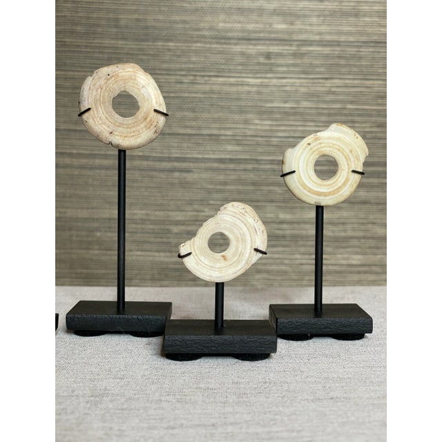 Contemporary Antique Oceanic Mounted Shell Currency- a Set of 5 For Sale - Image 3 of 7