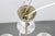 Chrome and Glass Chandelier attributed to Napako, Former Czechoslovakia, 1950s For Sale - Image 6 of 14