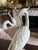 Mid 20th Century Vintage Giuseppe Armani Porcelain Heron Table Lamp - Hollywood Regency For Sale - Image 5 of 18