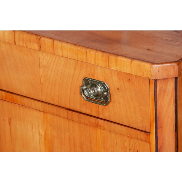 Biedermeier Cabinet in Cherry, Spruce & Ebony, Czech, 1820s For Sale - Image 12 of 17