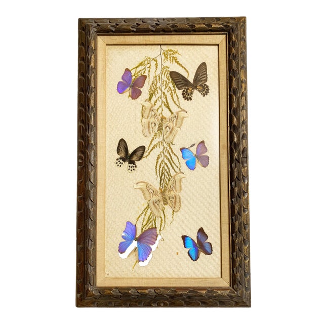 Mid-Century Modern Large Framed Butterfly Artwork For Sale