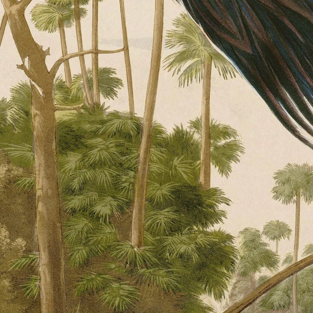 A print so awesome it can not be contained in one frame. The Louisiana Heron from John J. Audubon's The Birds of North...
