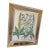 17th Century Antique Mirror Framed Botanical Engraving by Basilius Besler. For Sale