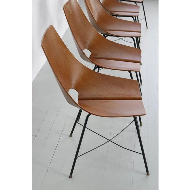 Vintage Bentwood Dining Chairs from Societa Compensato Curvato, 1960s, Set of 6 For Sale - Image 14 of 18