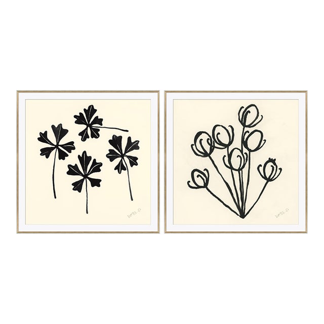 Trefoil and Alfalfa by Susan Hable For Sale