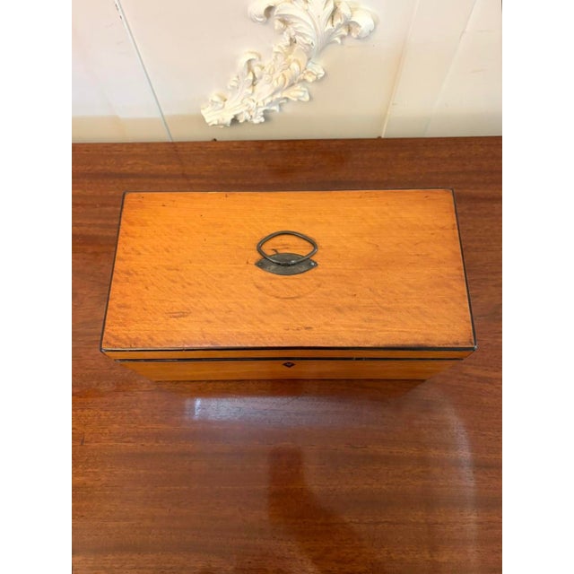 Antique Georgian Satinwood Tea Caddy Box with Glass Bowl and Mixing Stick, 1780 For Sale - Image 6 of 9