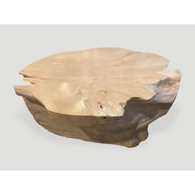 Ivory Andrianna Shamaris Impressive Bleached Teak Wood Coffee Table For Sale - Image 8 of 18