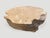 Ivory Andrianna Shamaris Impressive Bleached Teak Wood Coffee Table For Sale - Image 8 of 18