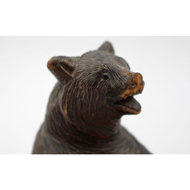 Rustic Late 19th Century Swiss Black Forest Seated Bear With Copper Bowl For Sale - Image 3 of 6