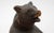 Rustic Late 19th Century Swiss Black Forest Seated Bear With Copper Bowl For Sale - Image 3 of 6