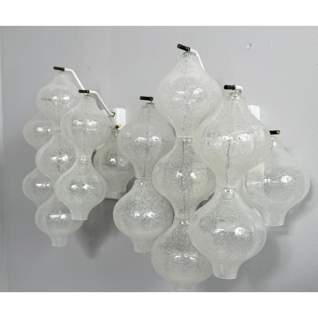 Vintage Tulipan Wall Lights from Kalmar Franken KG, Austria, 1960s, Set of 2 For Sale - Image 3 of 18