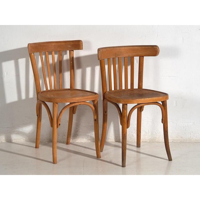 1920s Bistro Chairs from Thonet, 1920s, Set of 6 For Sale - Image 5 of 13