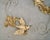 1950’s Mid-Century Modern Universal Statuary Wall Sculptures - A Pair For Sale - Image 4 of 12