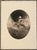 1972 William Patterson Young Man Contemporary Realist Etching For Sale - Image 4 of 4