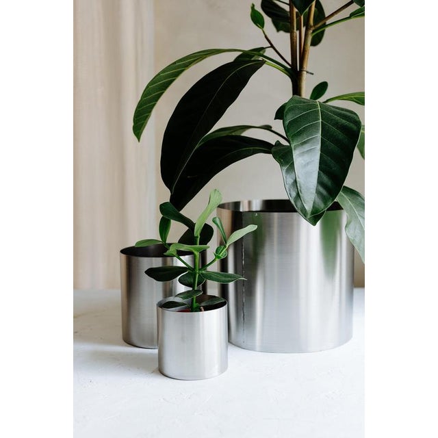 Large Loto Planter in Stainless Steel by Form & Eisen For Sale - Image 9 of 18