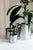 Large Loto Planter in Stainless Steel by Form & Eisen For Sale - Image 9 of 18
